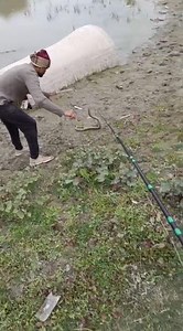 😄😄😄#shorts #ytshorts @mustakeemansari5055