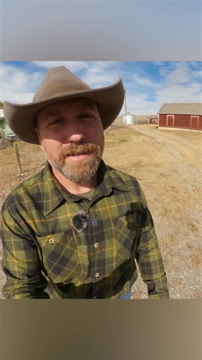 344K views · 10K reactions | Grizzly Bears in the Closet?! 勞 1910 Homestead Life Wasn't Just Hard... It Was DANGEROUS. #montana #homesteading #history #oldhomestead #grizzlybears #choteaumontana #1910homestead #grizzliesinthecloset #clearwaterproperties #forsale | Life in the West | Facebook