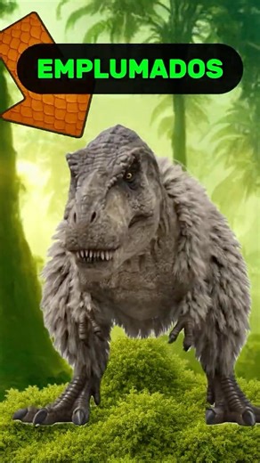 Dinosaur feathers found in amber