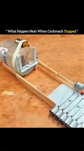Knowledge Times on Instagram: "The video depicts a satirical DIY "cockroach treadmil" loT project, where a live cockroach is strapped to a wooden frame with electrodes, motors, and sensors that stimulate its movement humorously narrated as pest control gone high-tech. This viral clip, first shared on Instagram in early December 2025, parodies real bio-robotics research, such as Nanyang Technological University's 2025system for rapidly equipping cockroaches as remote-controlled rescuers in disast