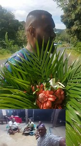 Isa Teri Ratini , keirau sa mai sikova tu na vanua e a kacivi kina na nomu bula😭 qai gole toka na vakacegu My Tau😭 isa turaga sa yalovinaka jina 🙏Rest High My Tau | TABALOKI