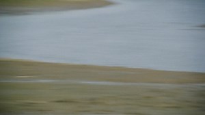 Kanibalistyczny holokaust (1980) LEKTOR PL 1080p