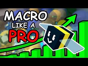 How To Macro Like A PRO In Bee Swarm Simulator
