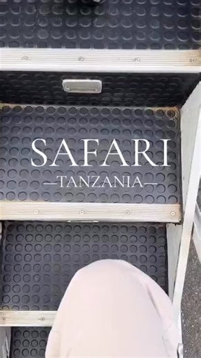 MIKUMI DAY TRIP SAFARI FROM ZANZIBAR 🦁✨ Day Trip: Zanzibar – Mikumi – Zanzibar Departing from your hotel at 05:00 AM, then a flight at 07:00 hrs to Mikumi National Park. Upon arrival at Mikumi Airstrip (08:10 hrs), you will be welcomed by your driver-guide who will brief you about your exciting game drive. Your safari adventure begins in a 4x4 modified open-sided safari vehicle, exploring Mikumi’s wilderness. Expect to encounter Africa’s iconic wildlife — elephants, giraffes, lions, buffaloes, 