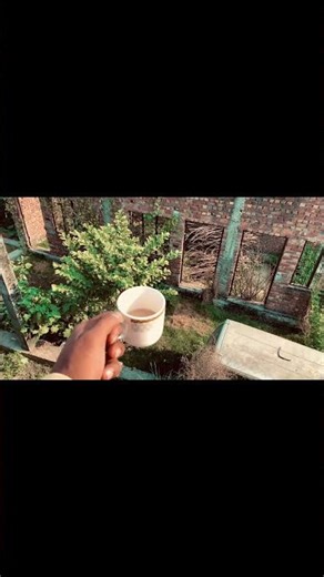 Tara Bin Mai Vari Java 😍 #trending #songs #shorts