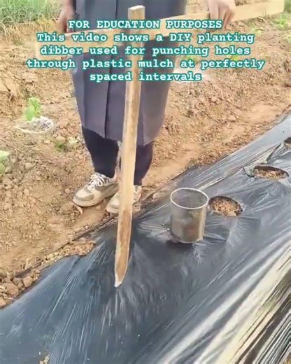 The Ultimate DIY Spacing Tool! #shorts #GardeningHacks #DIYGardenTools #SmallScaleFarming #Planting