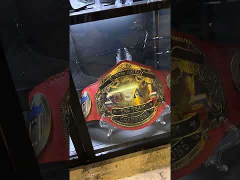 My full belt collection ( 80 belts ) as of September 2025