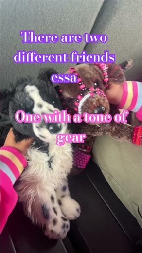 Rather way they are the best! #emotionalsupportstuffedanimal #fypシ゚viral