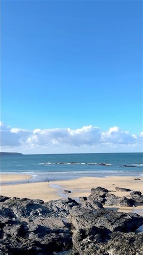 A walk from Godrevy to Mutton Cove to see the seals, Cornwall, UK #shorts #godrevy #cornwall #seals