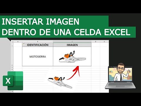 How to insert an image into an EXCEL cell