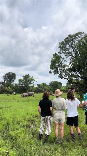Experience the Big Five on Foot