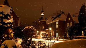 Snowing, Winter, Landscape. Free Stock Video