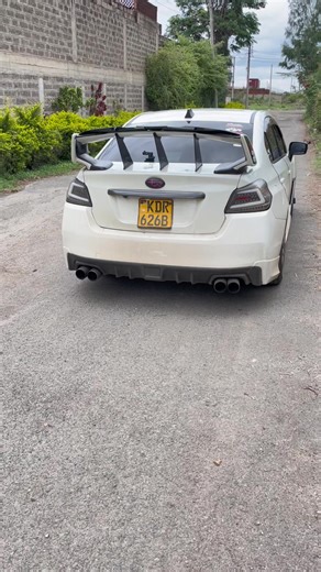 Unleash the Power of the 2017 Subaru WRX STI