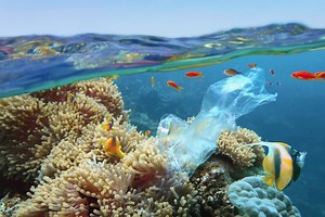 Plastics in the Ocean - Causes, Consequences and Solutions