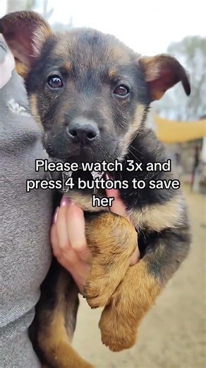 please don't scroll write random words to save this innocent souls 🙏🌟