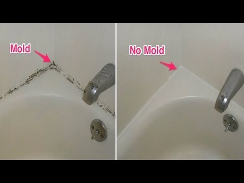 Get Rid Of Mold Safely, Naturally And Permanently!