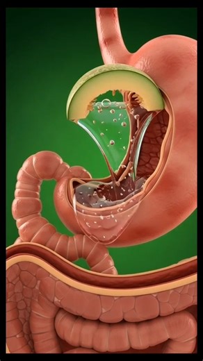 What Happens to Your Body When You Eat Melon #health #naturallyhealthy #eatgreen