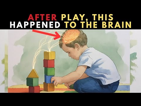 5 Ways Play Shapes a Child's Brain