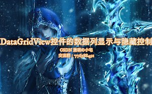 【C#】第十九讲 DataGridView控件的数据列显示与隐藏控制