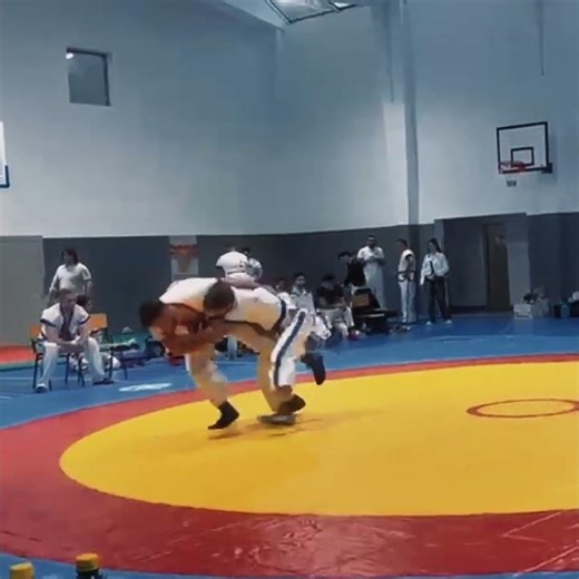 équipe de France highlights championnats d'europe shuai jiao lutte chinoise 2026 #fighting #wresling