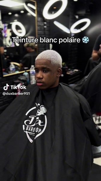 Teinture Blanc Polaire : Technique de Dégradation