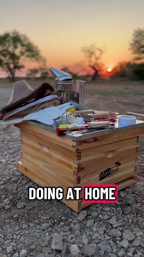 How to Keep Bees for Honey Production