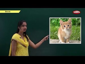 Phonics Chapter 4 : Beginning Sounds of Words | Learn Phonics For Kids | Phonics Classroom Lessons