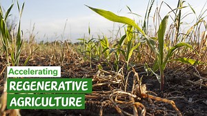 Many of our ingredients come from the field and the forest. So, to reduce emissions across our supply chain, we will: 🌱 Plant and protect trees and shrubs that protect crops 👩‍🌾 Enrich soil through regenerative agriculture 🌳 Restore forests and peatland Learn more: https://bit.ly/NestleClimateAction #ClimateAction #Nestlé #NetZero | Nestlé