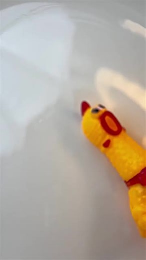 Eggshell Challenge: Fun and Creative Ways to Participate