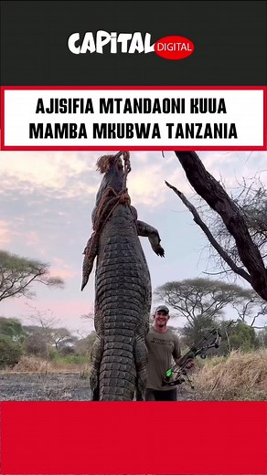 CAPITAL DIGITAL on TikTok