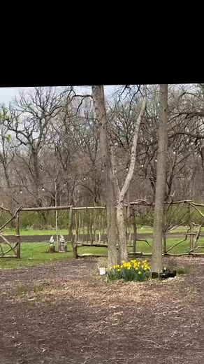 Redbud Creek Farm on Reels