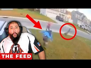 Bobcat attacks wife, man yeets it across the yard!