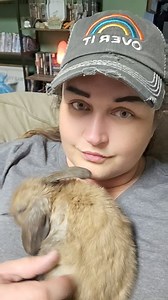 #rabbit #bunny #bunnies #greeneyedgirl #fall #happiness #goodvibes | Nancy Louise Varty