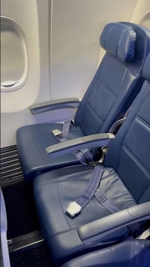 Delta Domestic Economy Review