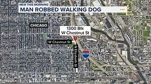 Man walking dog in Noble Square robbed at gunpoint, Chicago police say