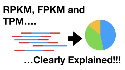 RNA-seq Normalization: Why TPM is the Preferred Unit | khadija Elamin posted on the topic | LinkedIn