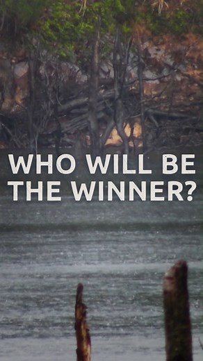 Alone fans! Tonight is the night. Who will be leaving Tasmania as the first ever Alone Australia winner? #AloneAustralia | Double episode finale tonight 7.30pm | Stream free on SBS On Demand | SBS Australia
