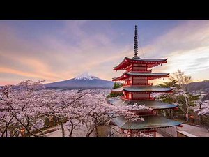 Spring in Japan Stock Footage | Shutterstock