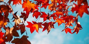 The Daily Weather Update from FOX Weather: Here comes fall