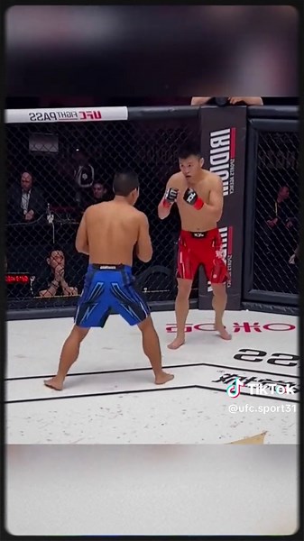 UFC: Conor McGregor Highlights and Fight Analysis