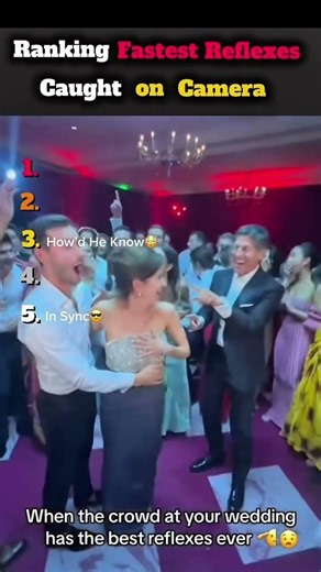 Ranking Fastest Reflexes Caught on Camera 🐇