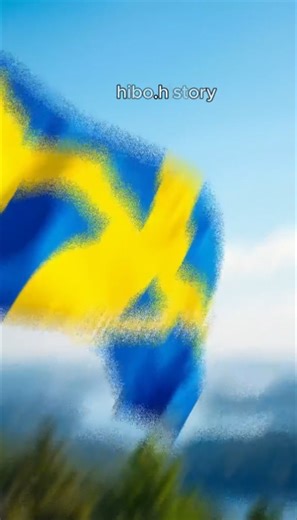 Hibo History on TikTok