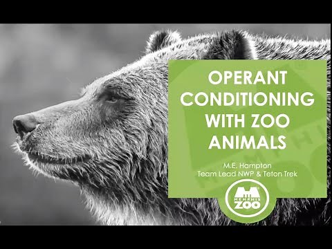 Webinar: Operant Conditioning with Zoo Animals