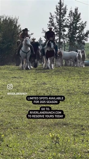 13K views · 659 reactions | Real people, real horses and real...