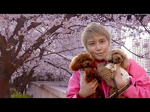 [OHANAMI] The date with my beloved EMMA& TIFA was the best