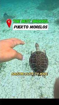 Snorkeling in Cancun's Great Barrier Reef with Extreme Adventuring Cancun 🐠🏊