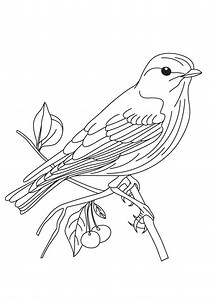 Coloring Pages | Coloring Pages Download
