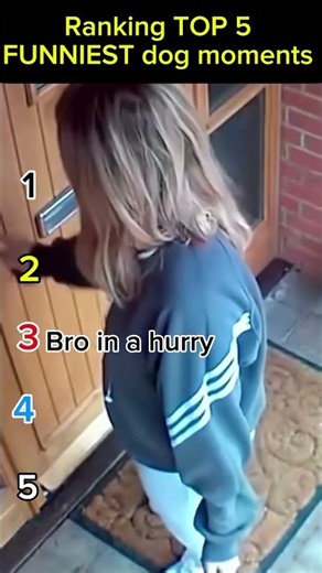 Ranking Top 5 Funniest Dog Moments 🐶 #trending #dogs
