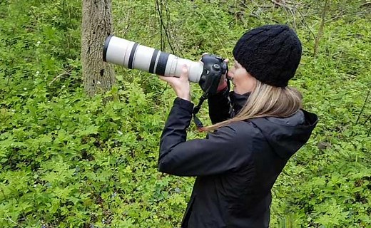 Our Camera Gear - Bird Photography Life