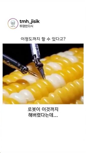 로봇이 옥수수 알갱이를 수술하는 이유